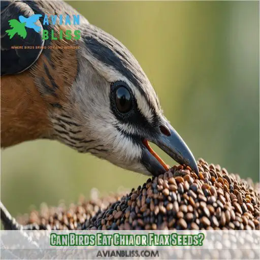 Can Birds Eat Chia or Flax Seeds