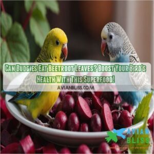 can budgies eat beetroot leaves