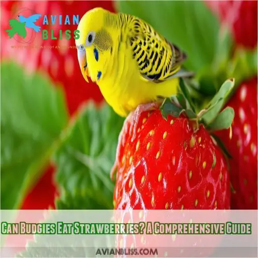 Can Budgies Eat Strawberries? A Comprehensive Guide