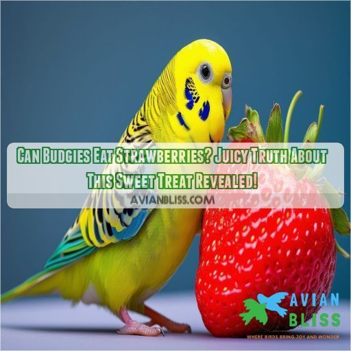 can budgies eat strawberries