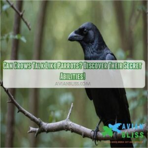 can crows talk like parrots