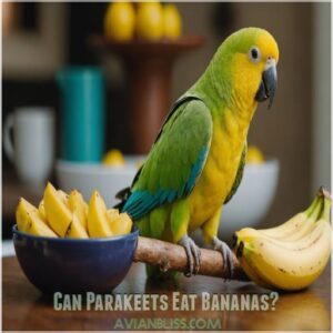 Can Parakeets Eat Bananas