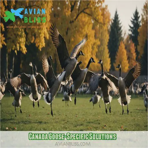 Canada Goose-Specific Solutions