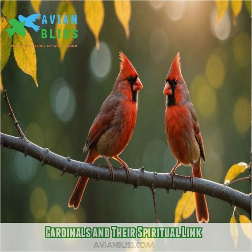 Cardinals and Their Spiritual Link