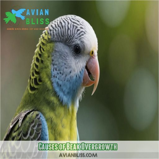 Causes of Beak Overgrowth