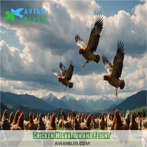 Chicken Migration and Flight