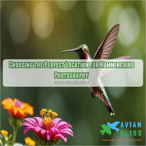 Choosing the Perfect Location for Hummingbird Photography