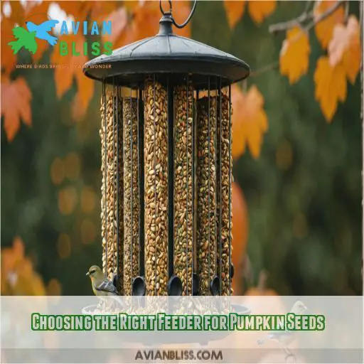 Choosing the Right Feeder for Pumpkin Seeds