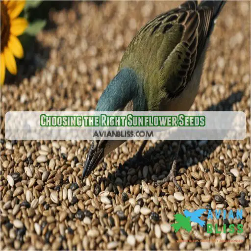 Choosing the Right Sunflower Seeds