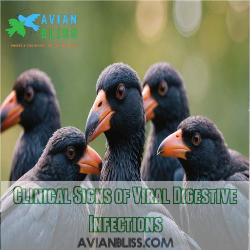 Clinical Signs of Viral Digestive Infections