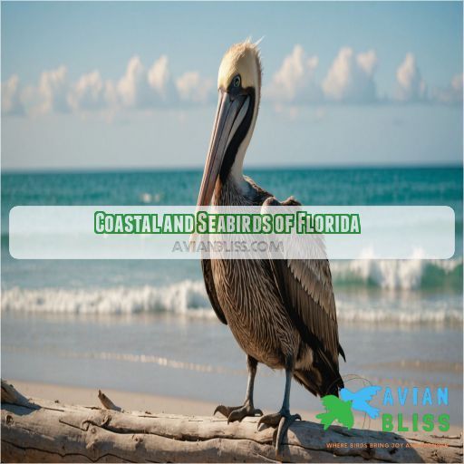 Coastal and Seabirds of Florida