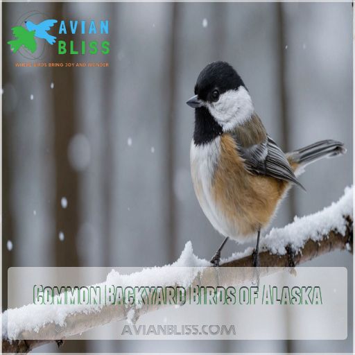 Common Backyard Birds of Alaska