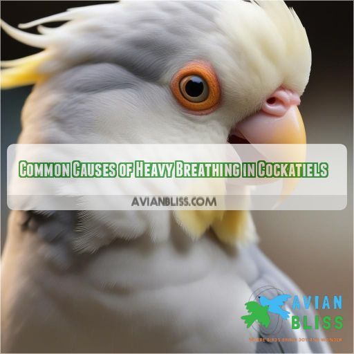 Common Causes of Heavy Breathing in Cockatiels