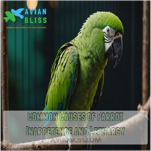 Common Causes of Parrot Inappetence and Lethargy