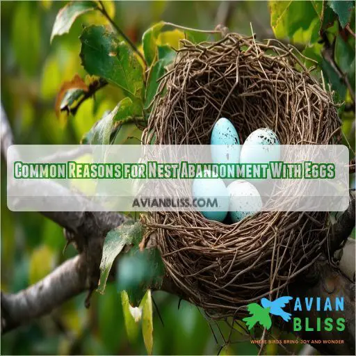 Common Reasons for Nest Abandonment With Eggs