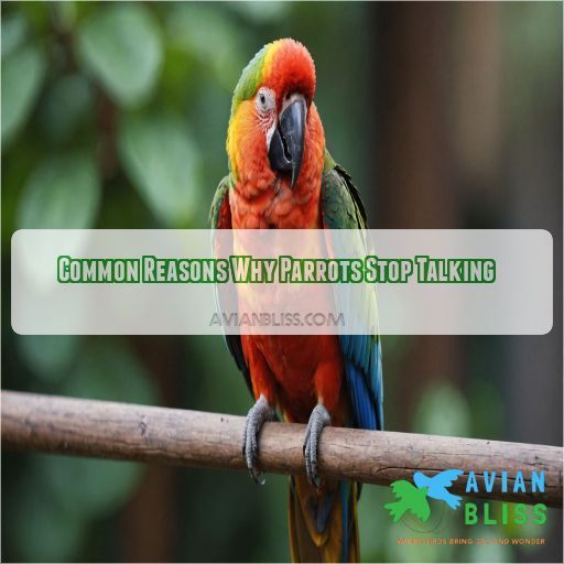 Common Reasons Why Parrots Stop Talking