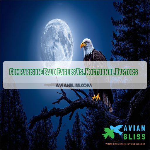 Comparison: Bald Eagles Vs. Nocturnal Raptors