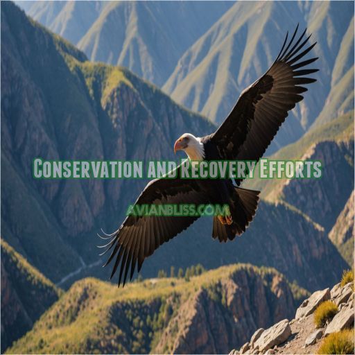 Conservation and Recovery Efforts