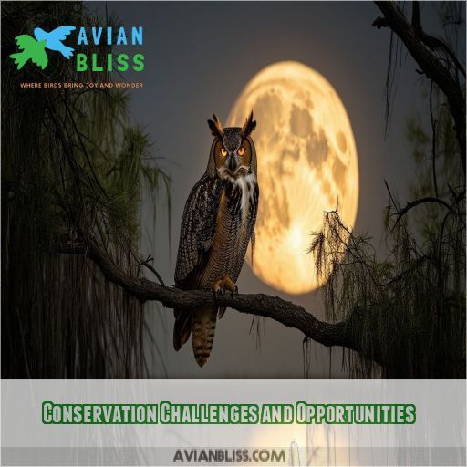 Conservation Challenges and Opportunities