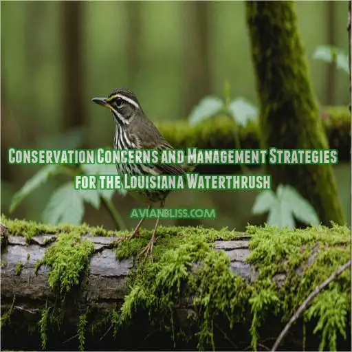 Conservation Concerns and Management Strategies for the Louisiana Waterthrush