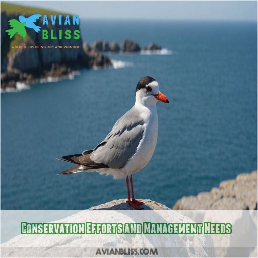 Conservation Efforts and Management Needs