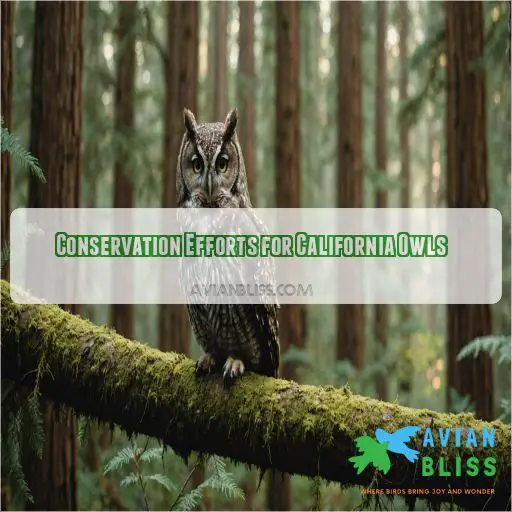 Conservation Efforts for California Owls