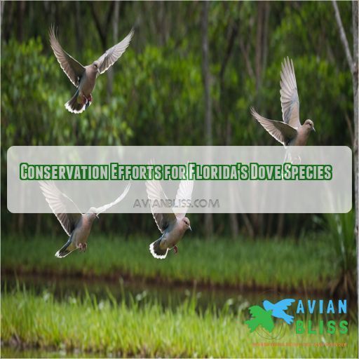 Conservation Efforts for Florida