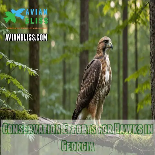 Conservation Efforts for Hawks in Georgia