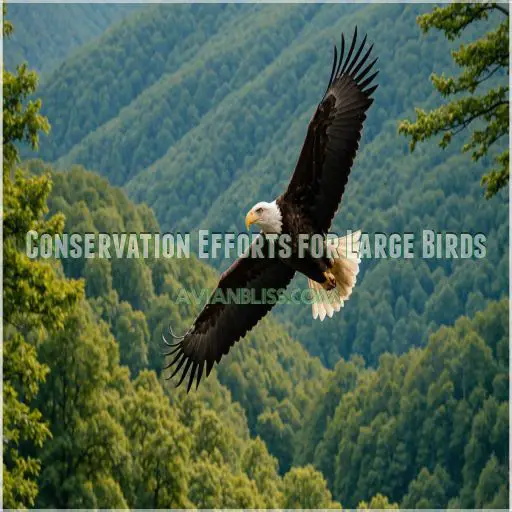 Conservation Efforts for Large Birds