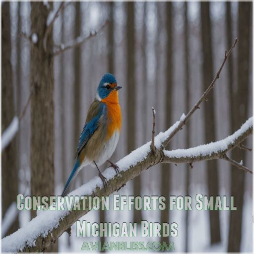 Conservation Efforts for Small Michigan Birds