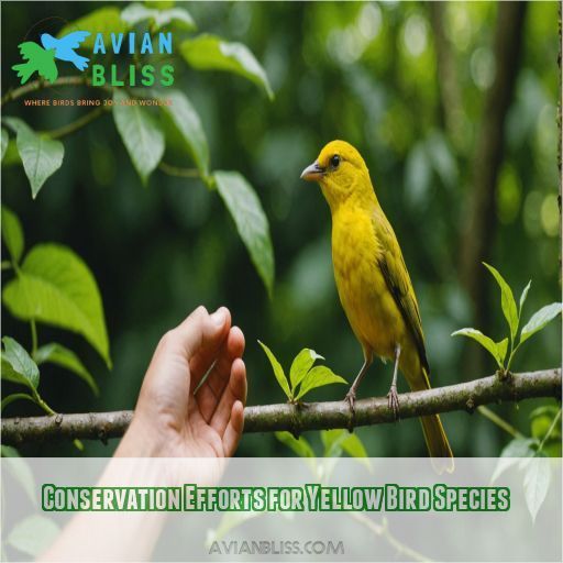 Conservation Efforts for Yellow Bird Species