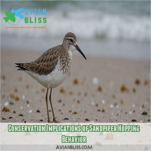 Conservation Implications of Sandpiper Hopping Behavior