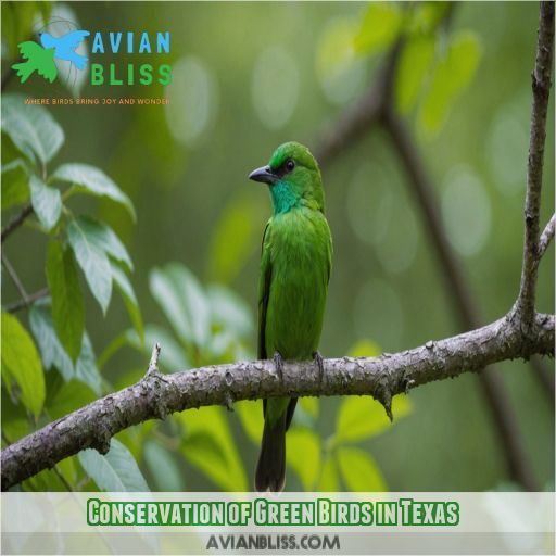 Conservation of Green Birds in Texas