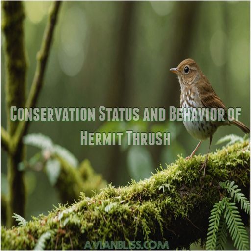 Conservation Status and Behavior of Hermit Thrush