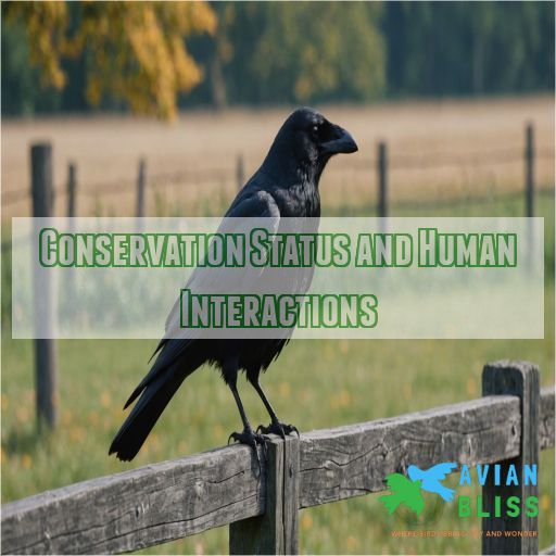 Conservation Status and Human Interactions