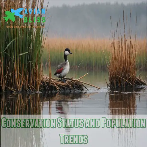 Conservation Status and Population Trends