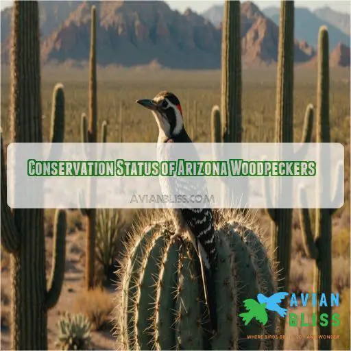 Conservation Status of Arizona Woodpeckers