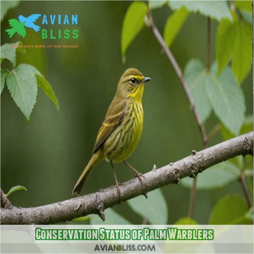 Conservation Status of Palm Warblers