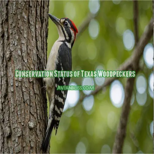 Conservation Status of Texas Woodpeckers