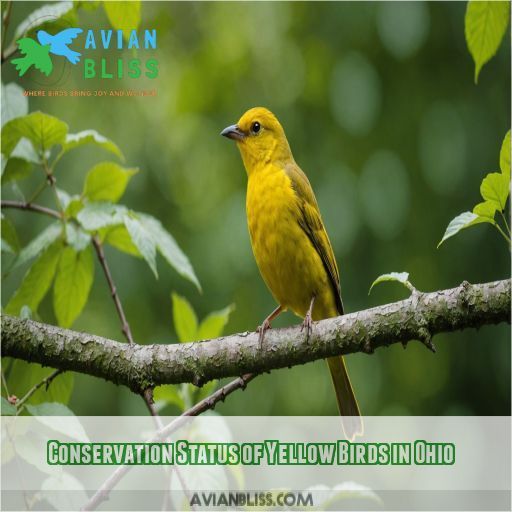 Conservation Status of Yellow Birds in Ohio