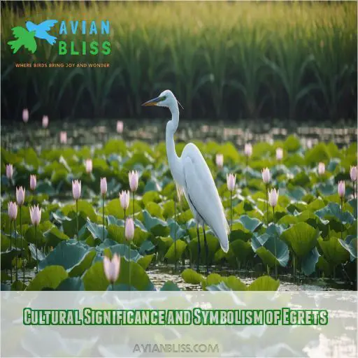 Cultural Significance and Symbolism of Egrets