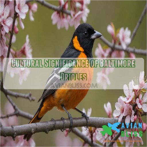 Cultural Significance of Baltimore Orioles