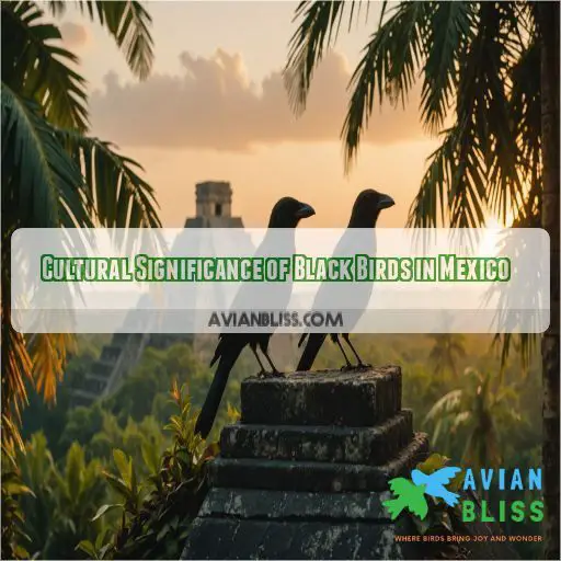 Cultural Significance of Black Birds in Mexico