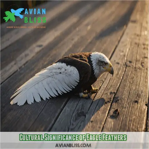 Cultural Significance of Eagle Feathers