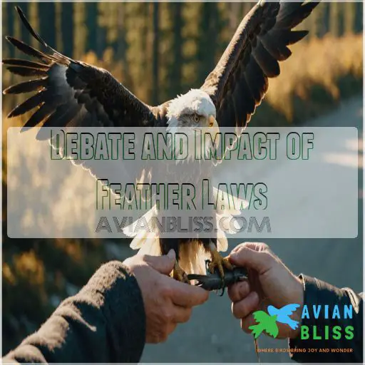 Debate and Impact of Feather Laws