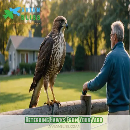 Deterring Hawks From Your Yard