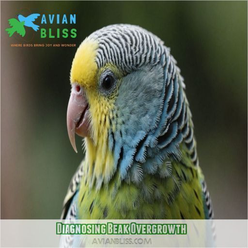 Diagnosing Beak Overgrowth