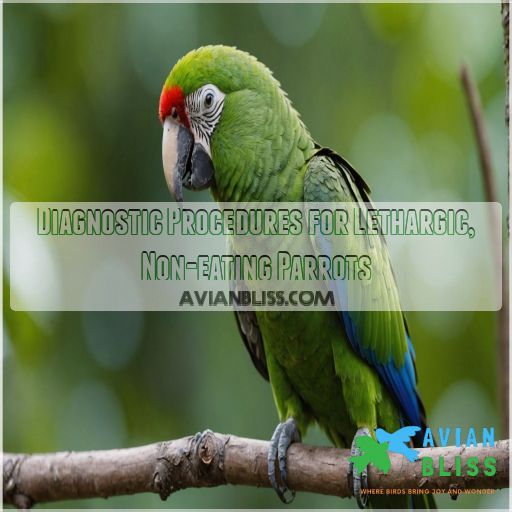 Diagnostic Procedures for Lethargic, Non-eating Parrots