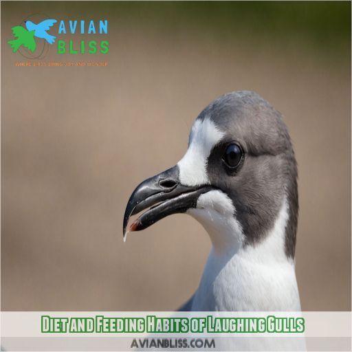 Diet and Feeding Habits of Laughing Gulls