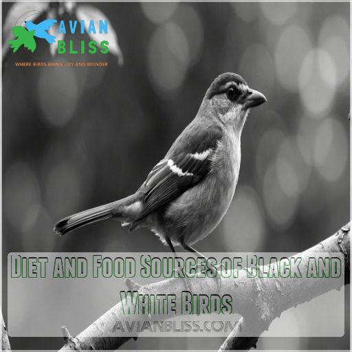 Diet and Food Sources of Black and White Birds